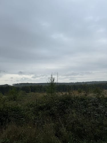 Rundwanderweg A4 (Willebadessen)