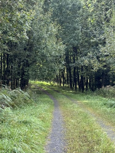 Rundwanderweg A4 (Willebadessen)