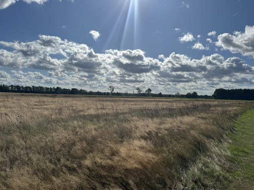 Tremsdorf Runde