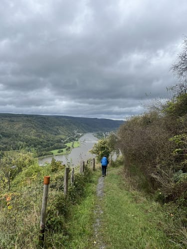 Moselsteig Etappe 13: Traben-Trarbach - Reil