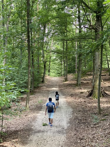Tegeler Forst Rundweg