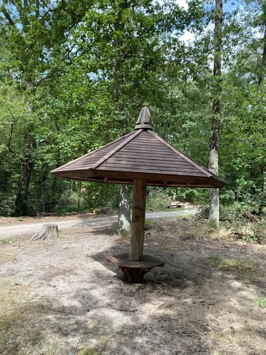 Tegeler Forst Rundweg