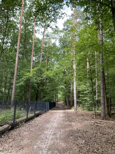 Tegeler Forst Rundweg