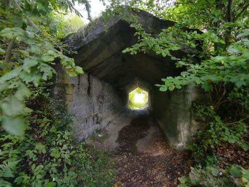 Rhönrundweg 1 Sodenberg - Hammelburg