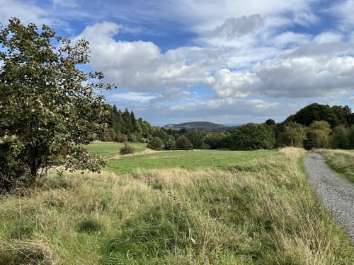 Auf der "Alten Harzstraße" von Hahnenklee nach Goslar