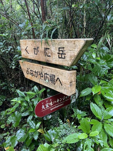 Photos of 大宜味の石灰岩の山と森周回コース - Okinawa, Japan