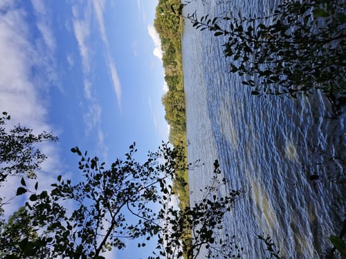 NSG Riddagshausen: Mittelteich und Kreuzteich