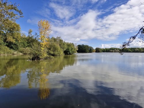 NSG Riddagshausen: Mittelteich und Kreuzteich