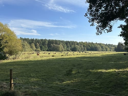 Wanderung nach Oerrel