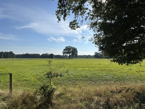 Wanderung nach Oerrel