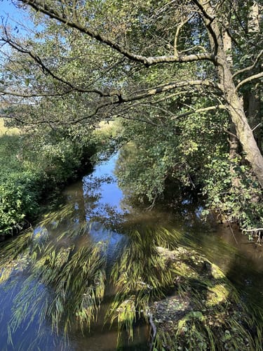 Wanderung nach Oerrel