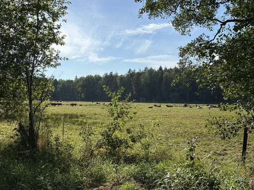 Wanderung nach Oerrel
