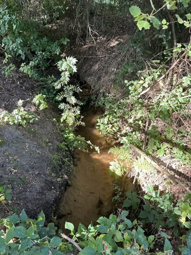 Wanderung nach Oerrel