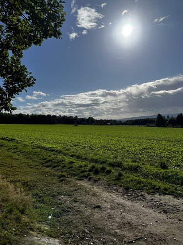 Durch das romantische Hasselbachtal (H 1)