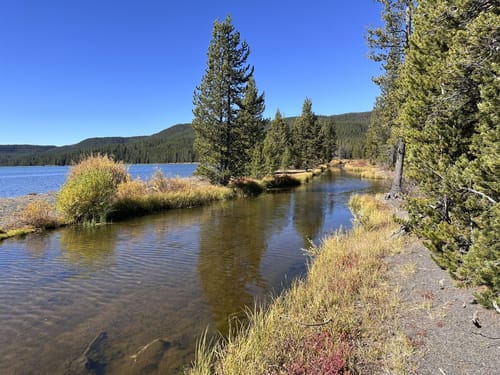 Delacy creek trail yellowstone best sale