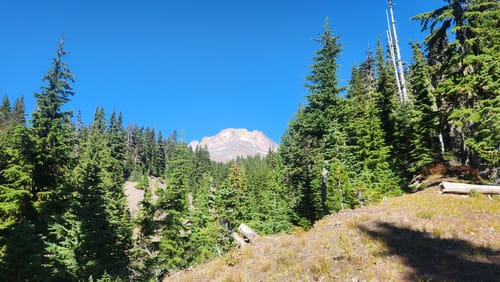 Photos of Glade Trail Oregon AllTrails