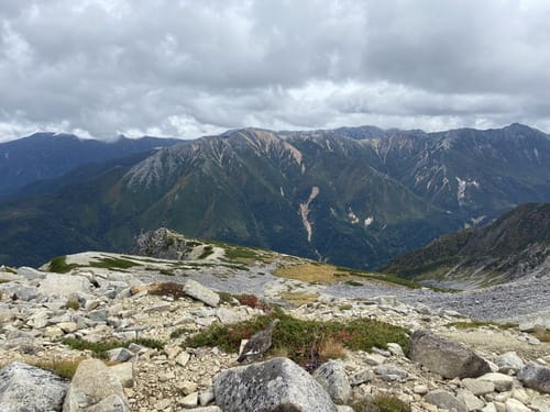ROSESELSA 遠山 Distance Mountain ROSESELSA 遠山 Distance Mountain Rose) ROSESELSA Distant