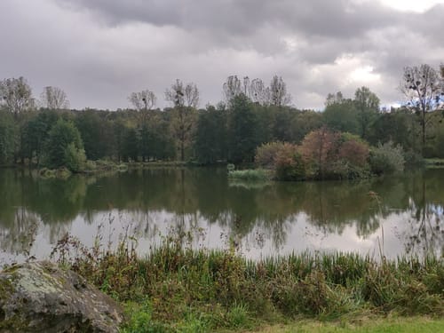 Rundwanderweg Roter Hase um Rieneck