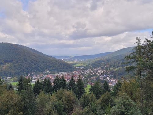 Amorbacher Sandstein-Weg