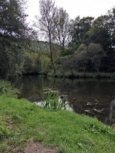 Wildes Monbachtal