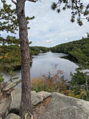 Ell pond preserve trailhead hotsell