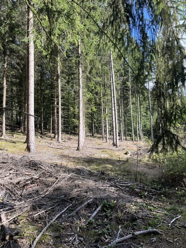 Talsperre Stollberg
