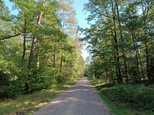 Laufstrecke: Never Walk Alone 3