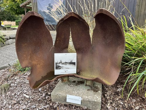 Auf den Spuren der Schlacht im Hürtgenwald