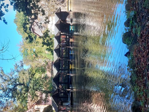 Im Tierpark Röhrensee