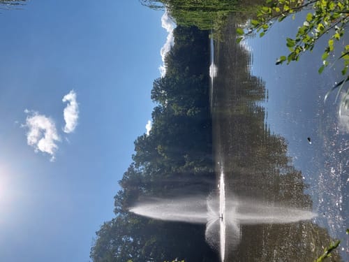 Im Tierpark Röhrensee