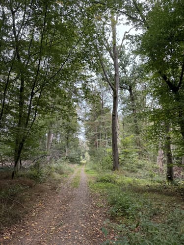 Hoher Berg Rundweg