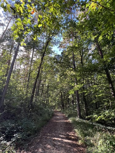Zum Lindelberg ab Igensdorf