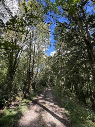 Zum Lindelberg ab Igensdorf