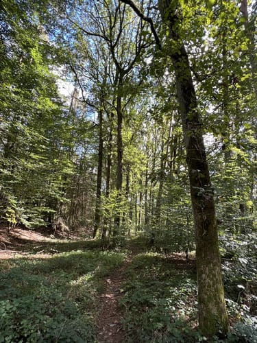 Zum Lindelberg ab Igensdorf