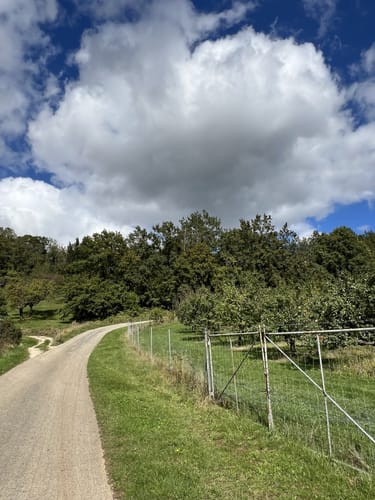 Zum Lindelberg ab Igensdorf