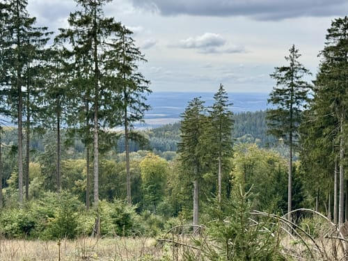 Großen Feldberg