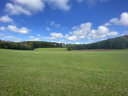 Von Wiesensteig zum Bläsiberg