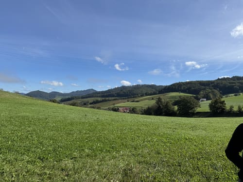 Von Freiburg über die Zähringer Burg nach Wildtal