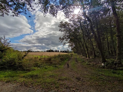 Premiumspazierwanderweg: Jossa-Sinn-Blick