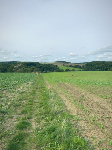 Paradiesgartenweg (Premiumwanderweg)