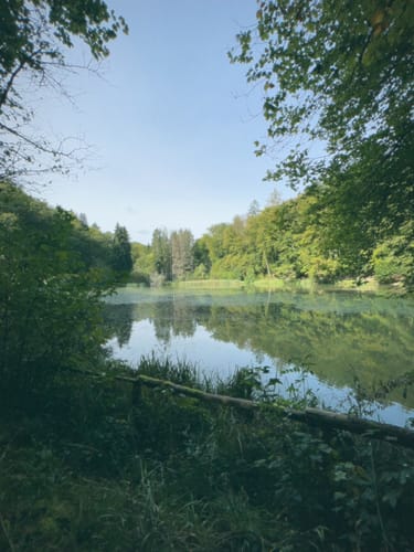 Paradiesgartenweg (Premiumwanderweg)