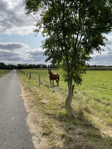 Bike it! - Wasser, Wind und Wiesen