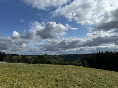 Auf den Spuren der Schlacht im Hürtgenwald