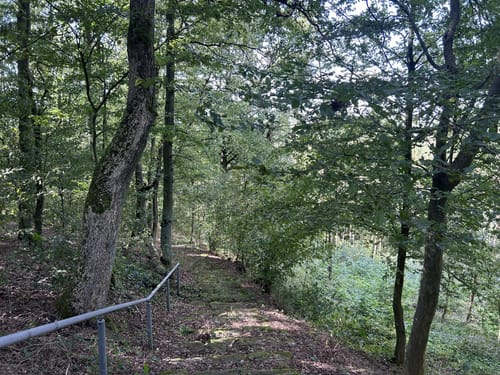 Rundweg Aschbach A1