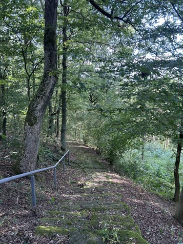 Rundweg Aschbach A1