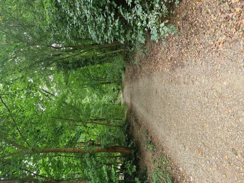 Bad Salzuflen - Hollenstein Rundweg