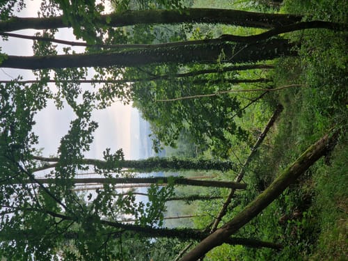 Bad Salzuflen - Hollenstein Rundweg