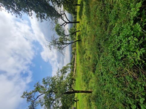 Bad Salzuflen - Hollenstein Rundweg