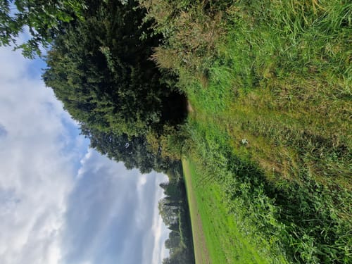 Bad Salzuflen - Hollenstein Rundweg