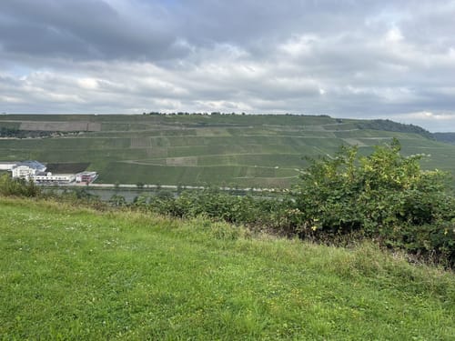 Moselsteig Etappe 2: Palzem - Nittel